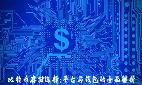 比特币存储选择:平台与钱包的全面解析