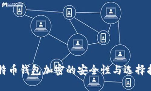 比特币钱包加密的安全性与选择指南