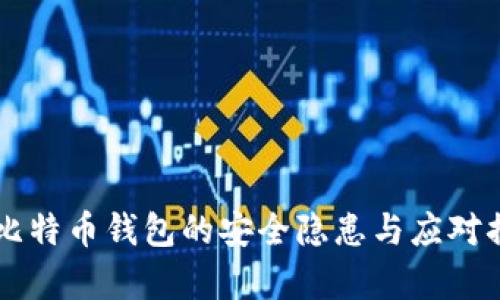 中国禁比特币钱包的安全隐患与应对措施分析