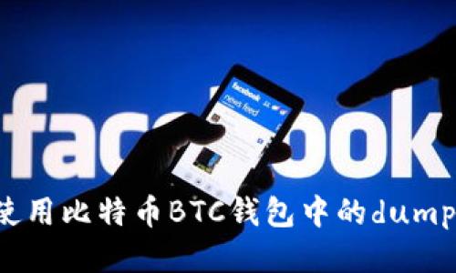 如何安全地使用比特币BTC钱包中的dumpprivkey功能