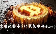 如何安全地使用比特币BTC钱包中的dumpprivkey功能
