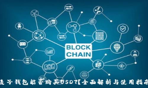 麦子钱包能否购买USDT?全面解析与使用指南