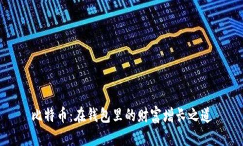 比特币:在钱包里的财富增长之道