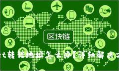 tpWallet转错地址怎么办？详细解决方案解析