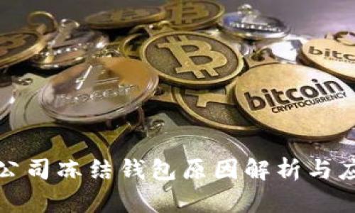 泰达币公司冻结钱包原因解析与应对策略
