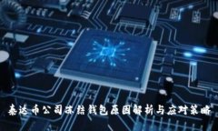 泰达币公司冻结钱包原因解析与应对策略