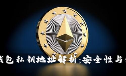 比特币钱包私钥地址解析:安全性与使用指南