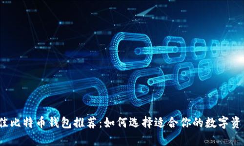 2023年最佳比特币钱包推荐:如何选择适合你的数字资产存储方案
