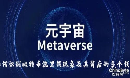 如何识别比特币洗黑钱现象及其背后的多个钱包