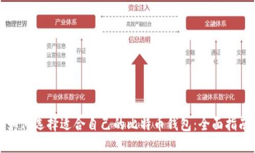 如何选择适合自己的比特币钱包:全面指南