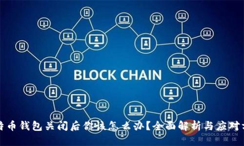 比特币钱包关闭后你该怎么办?全面解析与应对方案
