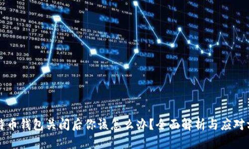 比特币钱包关闭后你该怎么办?全面解析与应对方案