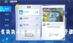 如何下载狗狗币电脑版本钱包：简单步骤与技巧