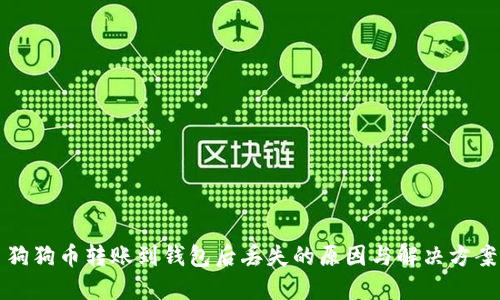狗狗币转账到钱包后丢失的原因与解决方案