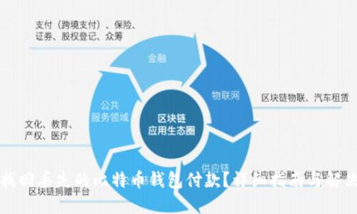如何找回丢失的比特币钱包付款?详细指南与解决方案