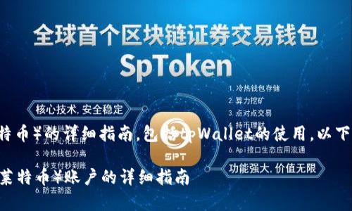 将为您提供创建LTC（莱特币）的详细指南，包括tpWallet的使用。以下是内容大纲与相关信息：

在tpWallet中创建LTC（莱特币）账户的详细指南