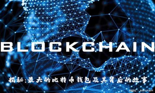 揭秘:最大的比特币钱包及其背后的故事