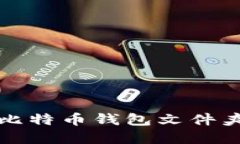 全面了解比特币钱包文件夹及其管理
