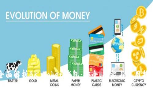 全面解析BK Token钱包:安全、功能与使用指南