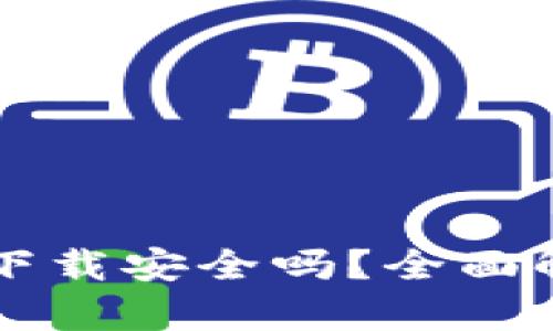 tpWallet扫码下载安全吗？全面解析及使用须知