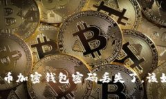 如果狗狗币加密钱包密码丢失了，该如何找回？