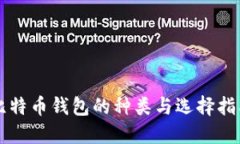 比特币钱包的种类与选择指南
