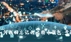 Title: 如何找回忘记的比特币钱包：步骤与技巧
