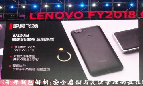USDT子母钱包解析:安全存储与灵活管理的最佳选择