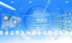 比特币云钱包的安全风险与选择指南