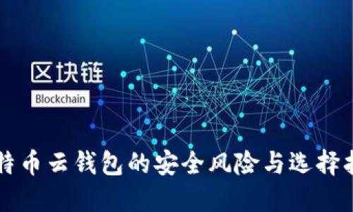 比特币云钱包的安全风险与选择指南
