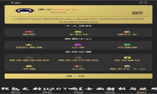 比太钱包支持USDT吗?全面解析与使用指南