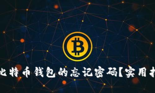 如何找回比特币钱包的忘记密码?实用指南与技巧