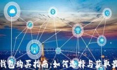 大陆比特币钱包购买指南：如何选择与获取最安