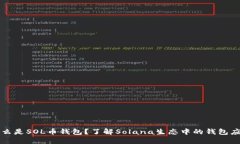 什么是SOL币钱包？了解Solana生态中的钱包应用