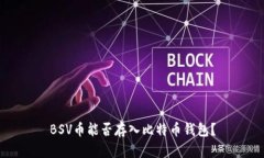 BSV币能否存入比特币钱包？