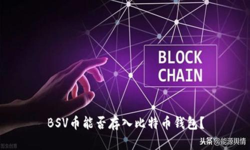 BSV币能否存入比特币钱包?