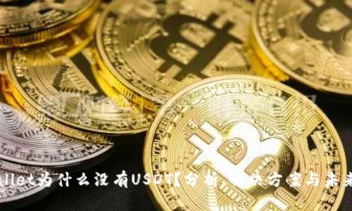 tpWallet为什么没有USDT？分析、解决方案与未来展望