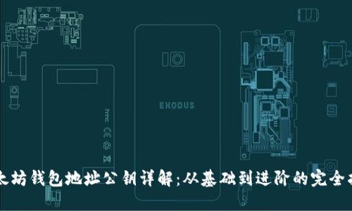 以太坊钱包地址公钥详解:从基础到进阶的完全指南