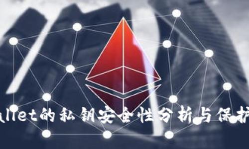 tpWallet的私钥安全性分析与保护措施