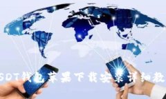 USDT钱包苹果下载安装详细教程