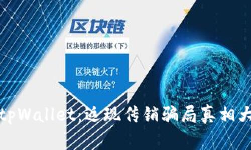 揭秘tpWallet：返现传销骗局真相大揭秘