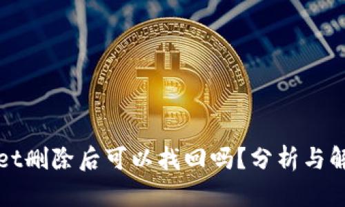 tpWallet删除后可以找回吗？分析与解决方案