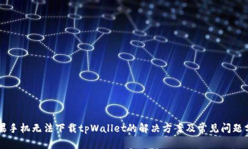 苹果手机无法下载tpWallet的解决方案及常见问题分析