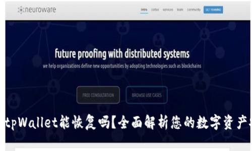 安卓tpWallet能恢复吗？全面解析您的数字资产安全