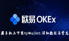 如何在苹果手机上下载tpWallet：详细教程与常见问