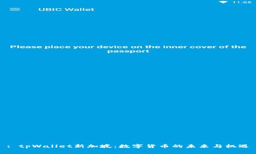 : tpWallet新加坡：数字货币的未来与机遇