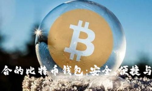 如何选择适合的比特币钱包：安全、便捷与高效的指南