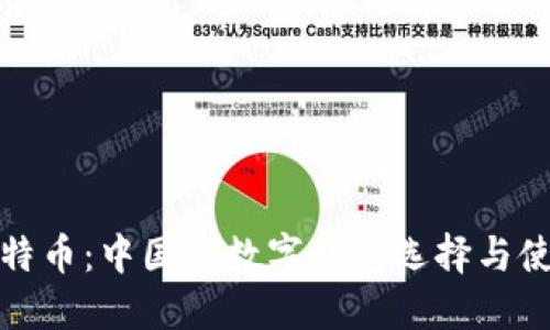 探索比特币：中国的数字钱包选择与使用指南