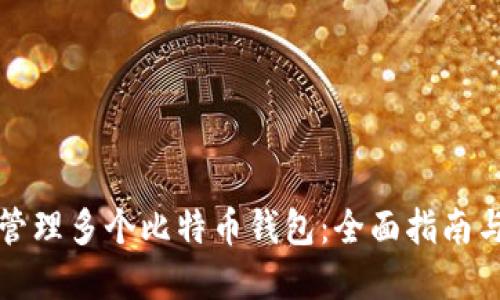 如何同时管理多个比特币钱包:全面指南与实用技巧