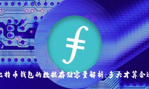 比特币钱包的数据存储容量解析:多大才算合适